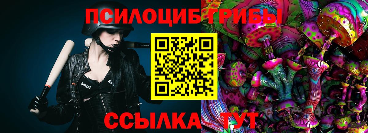Псилоцибиновые грибы мухоморы Михайловка