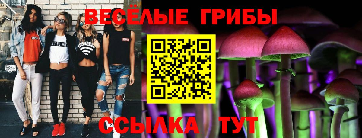 Галлюциногенные грибы Magic Shrooms  Вход с VPN  Михайловка  Псилоцибиновые грибы прущие грибы 